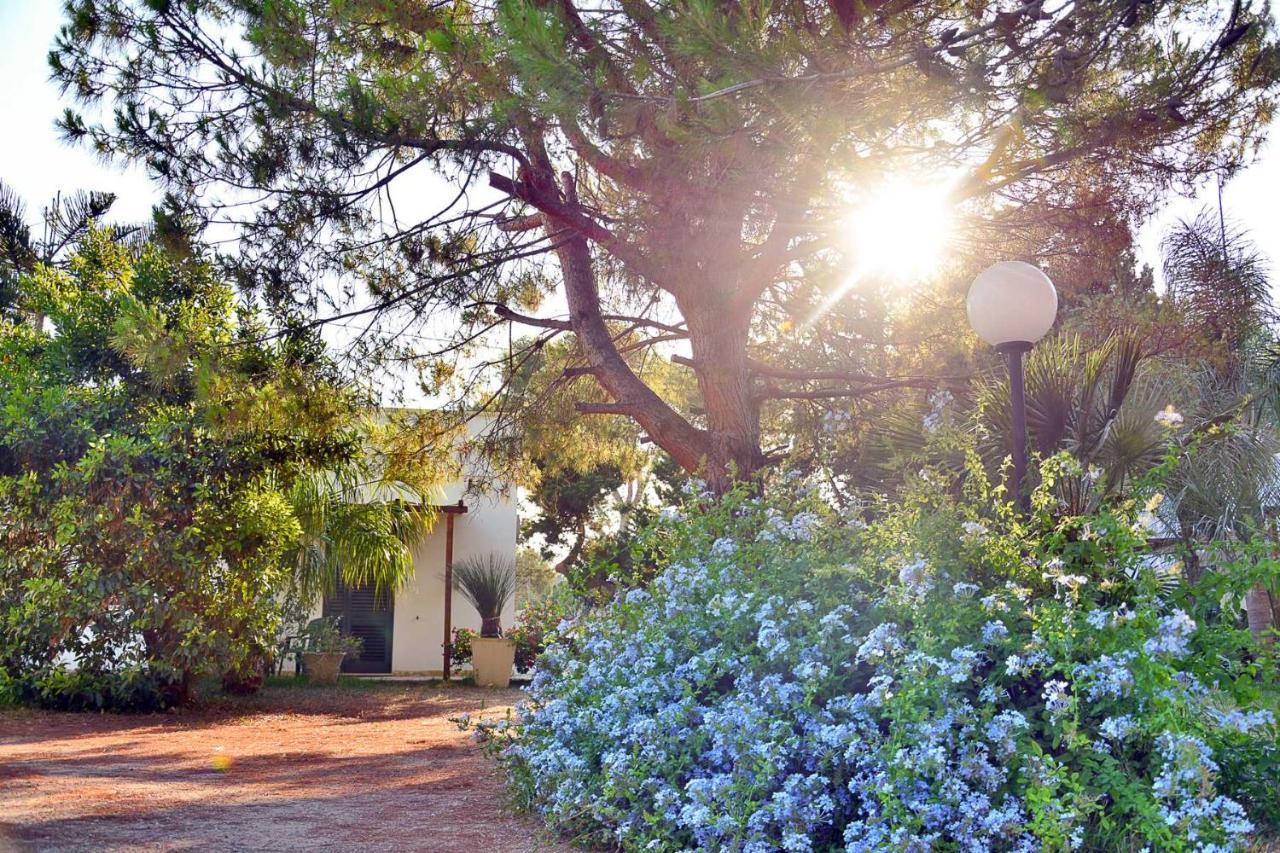 טורה דל'אורסו Masseria Lama מראה חיצוני תמונה
